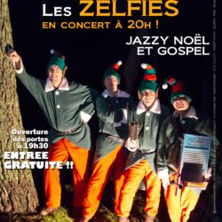 Les Zelfies en concert à Ferques !